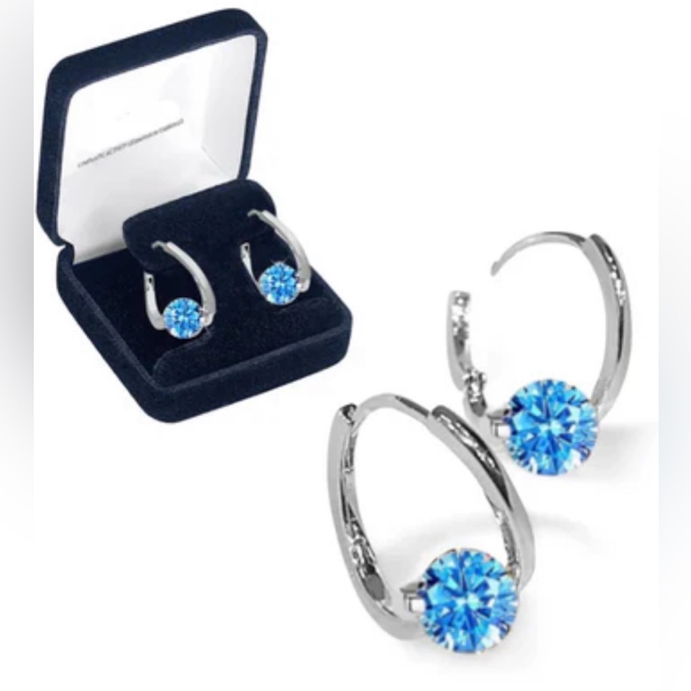 Silver 💎 Histone Lymphvity MagneTherapy Germanium Hoop Earrings
